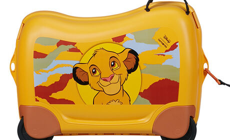 Wielofunkcyjna smycz