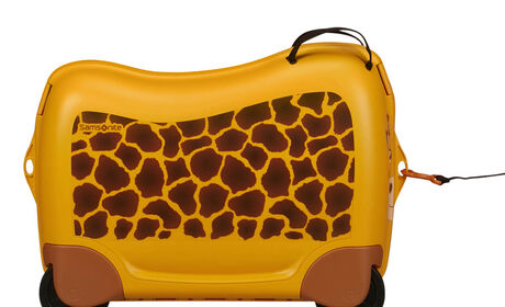 Wielofunkcyjna smycz