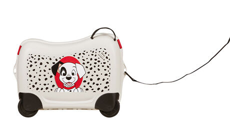 Multifunctional leash