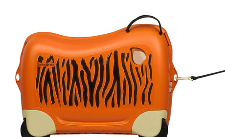 Wielofunkcyjna smycz