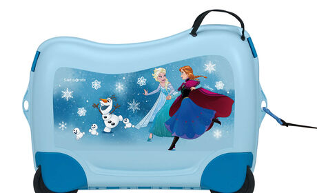 Wielofunkcyjna smycz