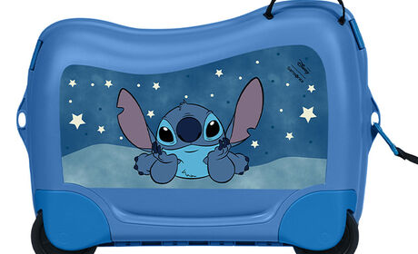 Wielofunkcyjna smycz