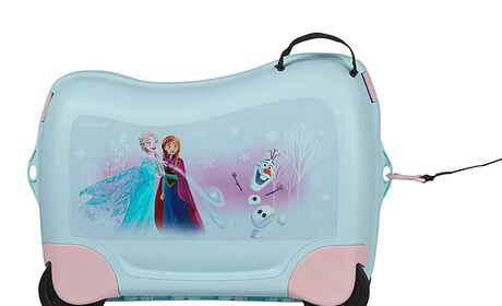 Wielofunkcyjna smycz