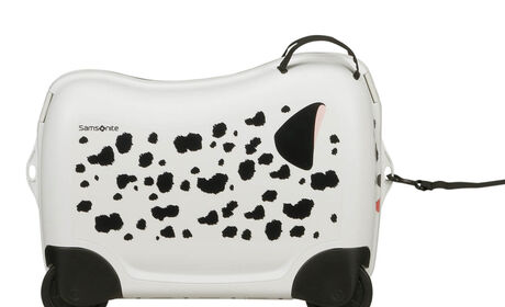 Multifunctional leash