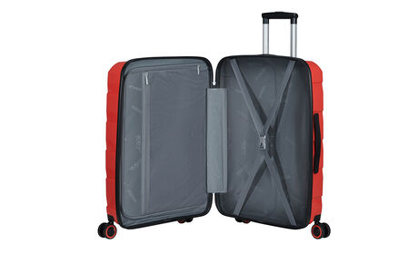 Wewnętrzna ogranizacja