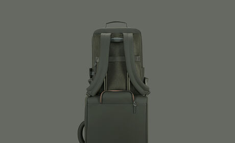 Back