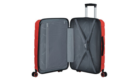 Wewnętrzna ogranizacja