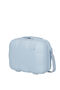 Dreami Beauty case