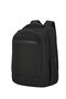 Samsonite Paralux 2-1 Travel Backpack  Black